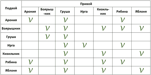 Таблица совместимости привоев и подвоев